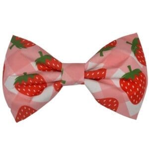 strawberry bliss bowtie or flower