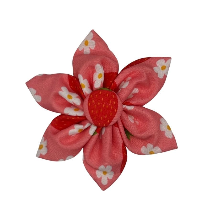 strawberry bliss bowtie or flower
