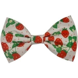 strawberry garden bowtie and flower
