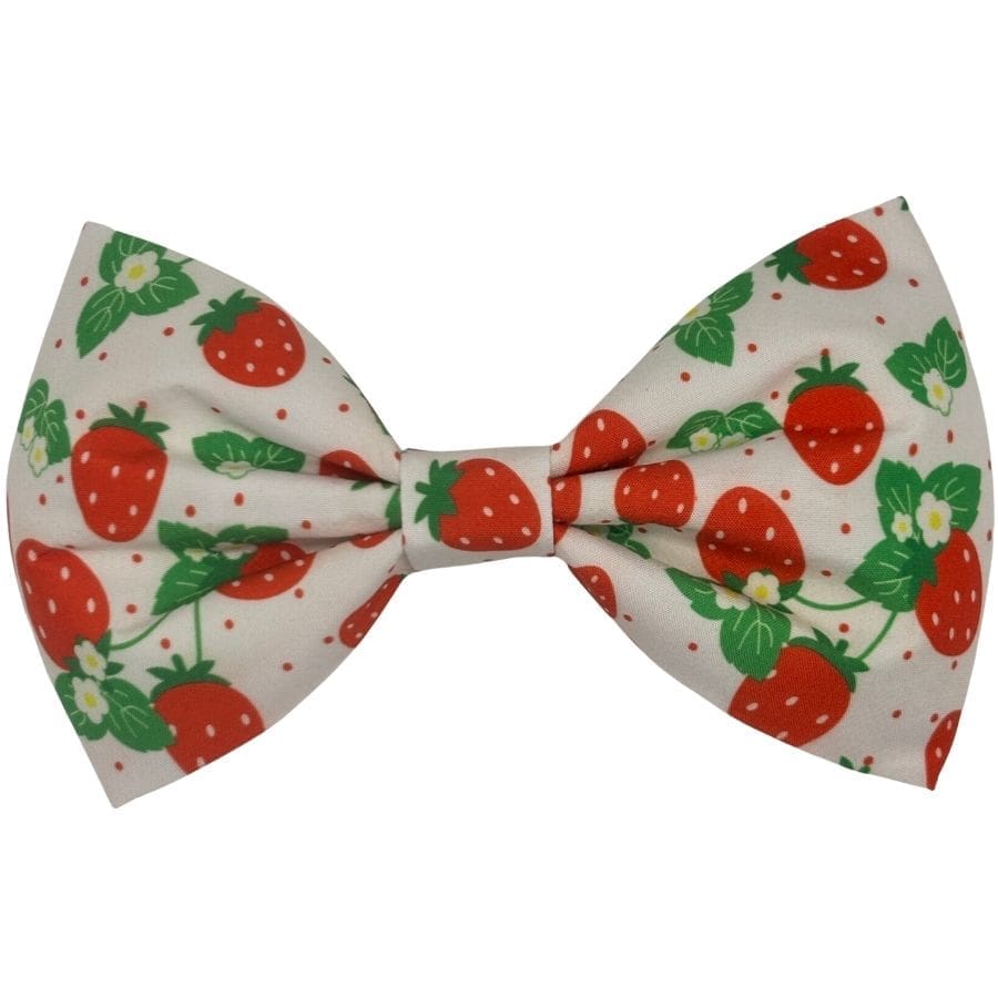 strawberry garden bowtie and flower