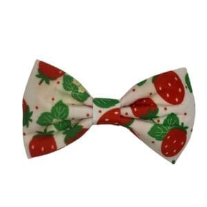 strawberry garden bowtie and flower