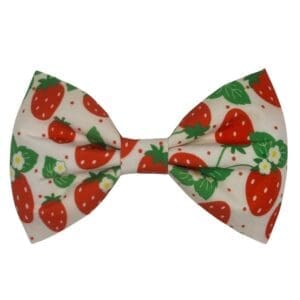 strawberry garden bowtie and flower