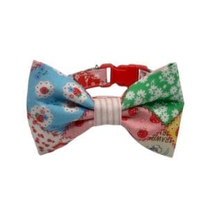 strawberry jamboree dog or cat collar