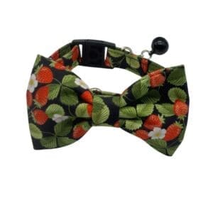 strawberry noir dog or cat collar