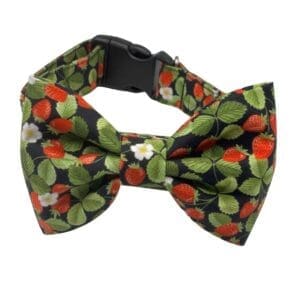 strawberry noir dog or cat collar