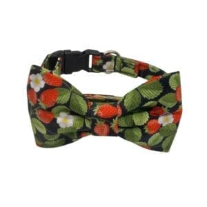 strawberry noir dog or cat collar