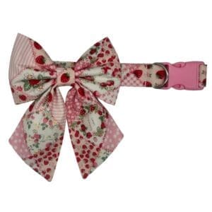 strawberry patch dog or cat collar