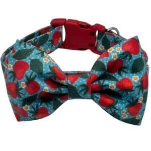 sweet strawberry adjustable collar