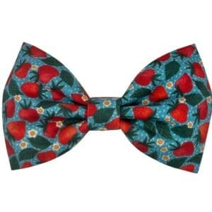 sweet strawberry pet bowtie