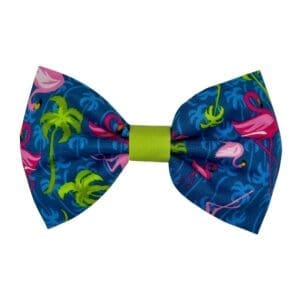 flamazing flamingo pet bowtie or flower