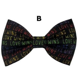 pride celebration dog bowtie